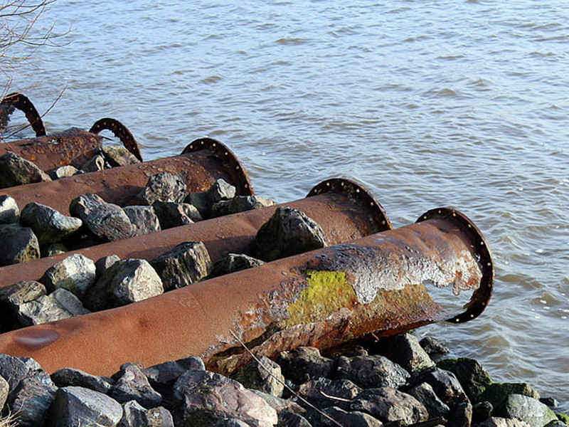 水質(zhì)生物毒性在線分析儀具備哪些特點(diǎn)？