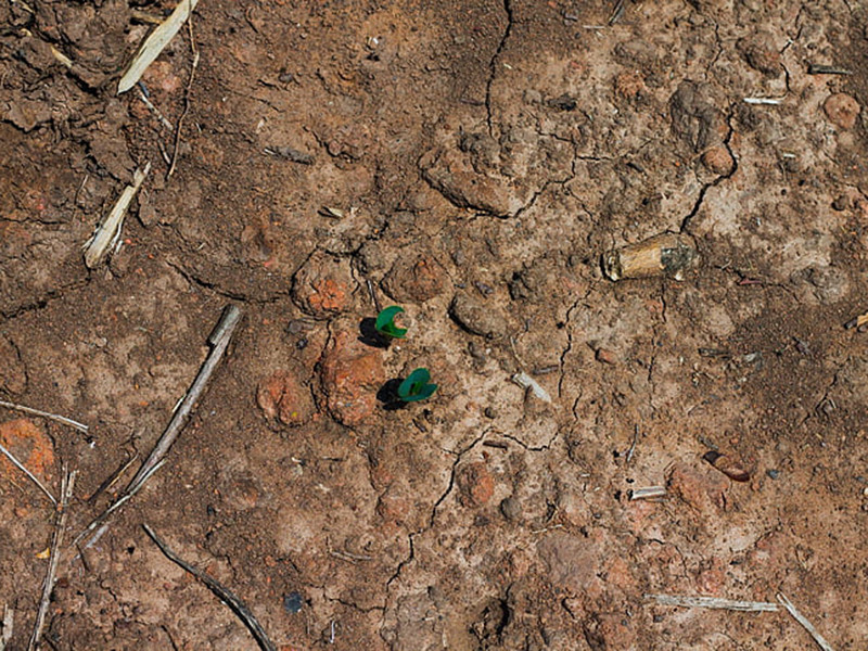 手持式土壤重金屬分析儀準(zhǔn)確度高