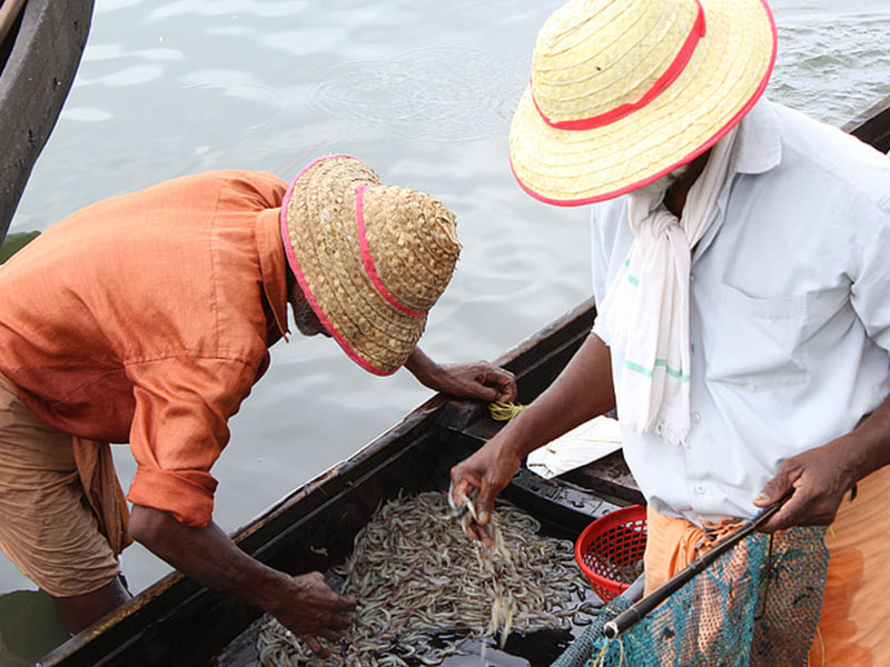 水產(chǎn)養(yǎng)殖業(yè)檢測(cè)水質(zhì)的儀器是哪款 水產(chǎn)養(yǎng)殖業(yè)檢測(cè)水質(zhì)的儀器是哪款
