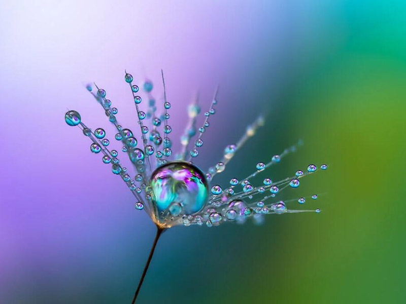 便攜式水質(zhì)重金屬檢測儀使用方法