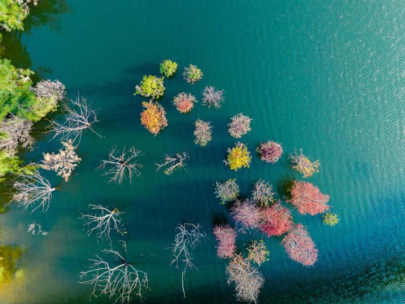 COD檢測(cè)儀消解比色一體管好處是什么（COD檢測(cè)常見問題及解決）