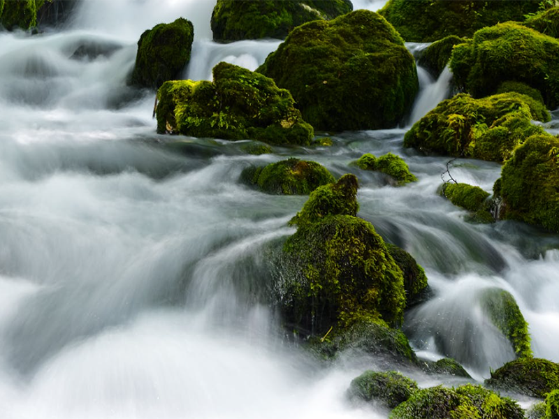 氨氮快速檢測儀需要具備哪些功能（氨氮快速檢測儀功能介紹）
