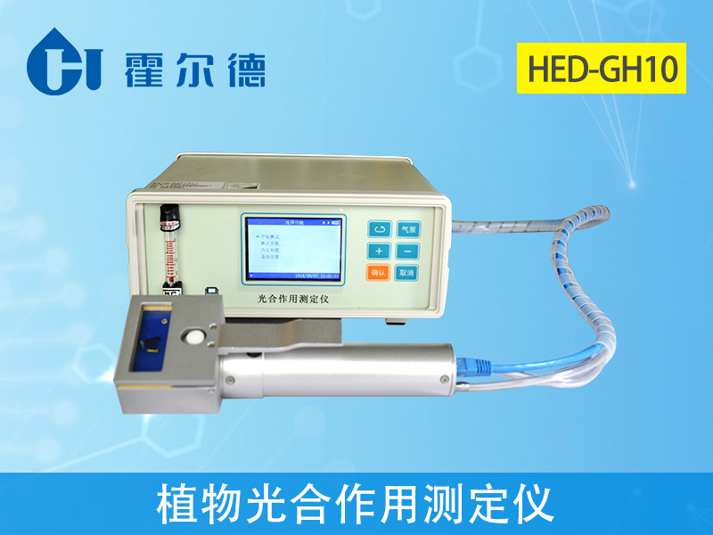 種植玉米百合，光照要合適